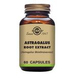 Picture of  Astragalus Root Extract Herbal Product Vegan