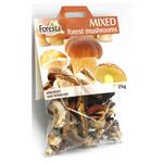 Picture of  Mixed Forest Mushrooms Vegan, ORGANIC