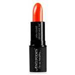 Picture of  Piha Beach Tangerine Lip Stick