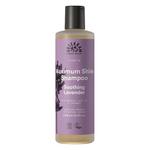 Picture of  Soothing Lavender Shampoo Organic
