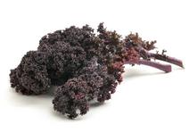 Picture of Red Kale ORGANIC