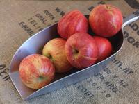 Picture of Gala Apples ORGANIC