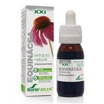 Picture of  Echinacea Extract