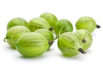 Picture of Gooseberries ORGANIC