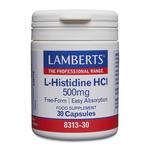 Picture of  L-Histidine HCI 500mg