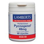 Picture of  Pycnogenol Extract 40mg Vegan