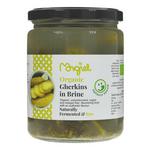 Picture of  Gherkins in Brine ORGANIC