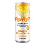 Picture of  Ginger Mandarin Living Soda