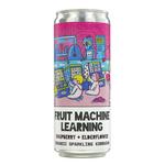 Picture of  Fruit Machine Learning Raspberry & Elderflower Kombucha