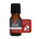 Picture of  Ylang Ylang Essential Oil ORGANIC
