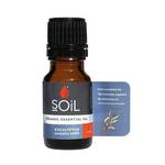 Picture of  Eucalyptus Essential Oil ORGANIC