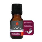Picture of  Cinnamon Leaf Essential Oil ORGANIC