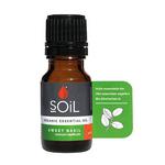 Picture of  Sweet Basil Essential Oil ORGANIC