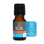 Picture of  Easy Breathe Essential Oil Blend ORGANIC