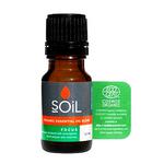 Picture of  Focus Essential Oil Blend