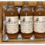 Picture of  Wildcard Kombucha ORGANIC