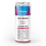 Picture of  Gut Health Soda Nootropic