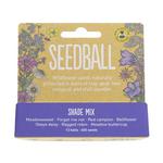 Picture of  Wildflower Seeds