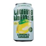 Picture of  Lemon & Ginger Soda