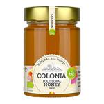 Picture of  Polyfloral Raw Honey ORGANIC