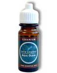 Picture of Geranium Essential Oil 