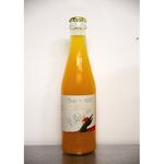 Picture of  Sea Seabuckthorn Kombucha