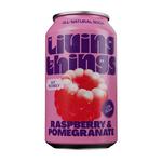 Picture of  Raspberry & Pomegranate Soda