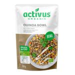 Picture of  Quinoa Bowl With Vegetables ORGANIC