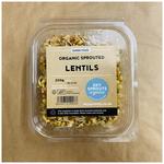 Picture of  Sprouted Lentils ORGANIC