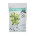 Picture of  Focus Seeds & Botanical Blend