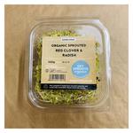 Picture of  Sprouted Radish and Red Clover ORGANIC