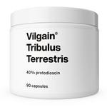 Picture of  Tribulus Terrestri Extract