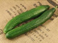 Picture of Cucumber ORGANIC
