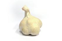 Picture of Garlic ORGANIC