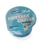 Picture of  Cottage Cheese ORGANIC