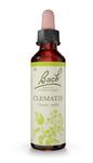 Picture of Flower Remedies Clematis 