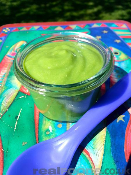 Gluten Free Baby Rice And Spinach Puree Recipe