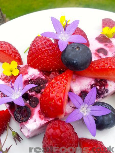 Healthy Low Fat Mixed Berries Frozen Yoghurt Recipe