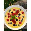 Raw Vegan Sunshine Tropical Fruit Soup Smoothie Recipe thumbnail image