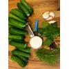 Naturally Fermented Cucumber Pickles Recipe thumbnail image