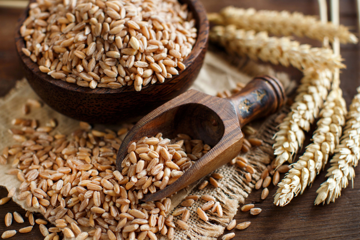 The Ultimate Guide to Flakes and Cereals