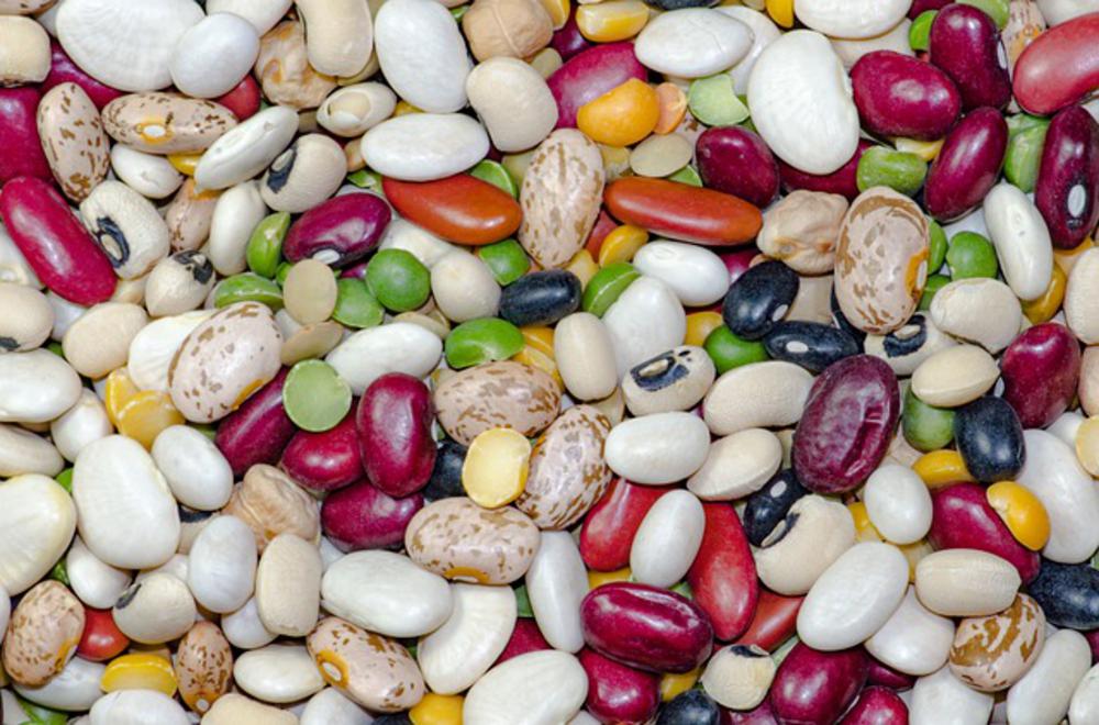 beans are a great way to add protein to your plant based diet