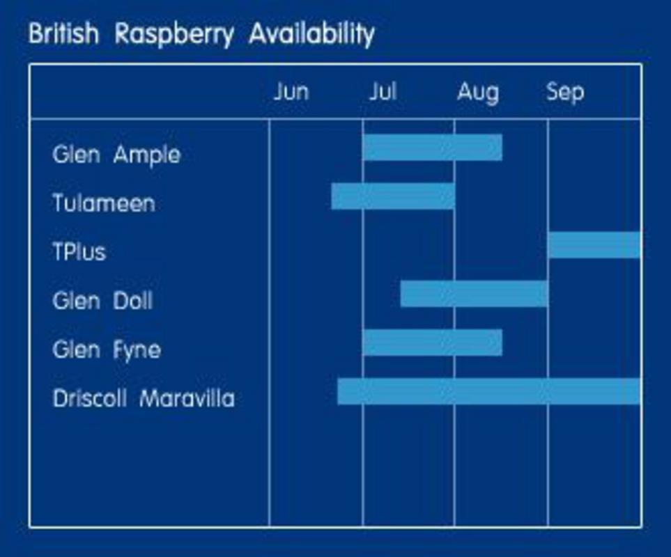 raspberry availability