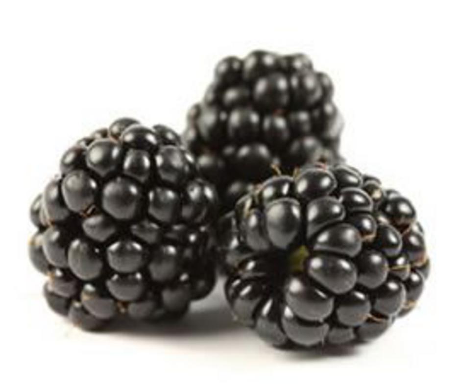 blackberries