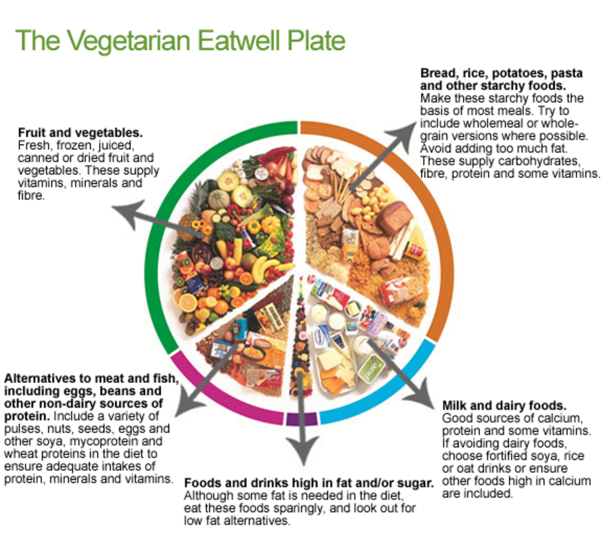  The Vegetarian 'Eatwell Plate'