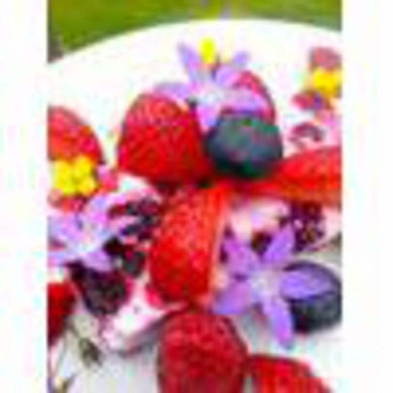 Healthy Low Fat Mixed Berries Frozen Yoghurt Recipe thumbnail image