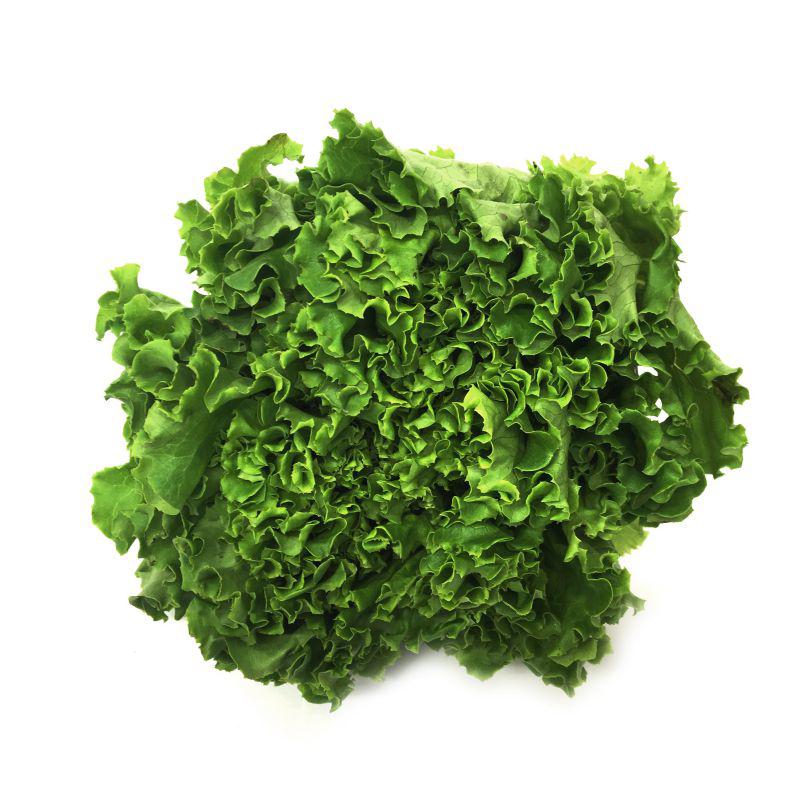 Batavia-Lettuce-Organic