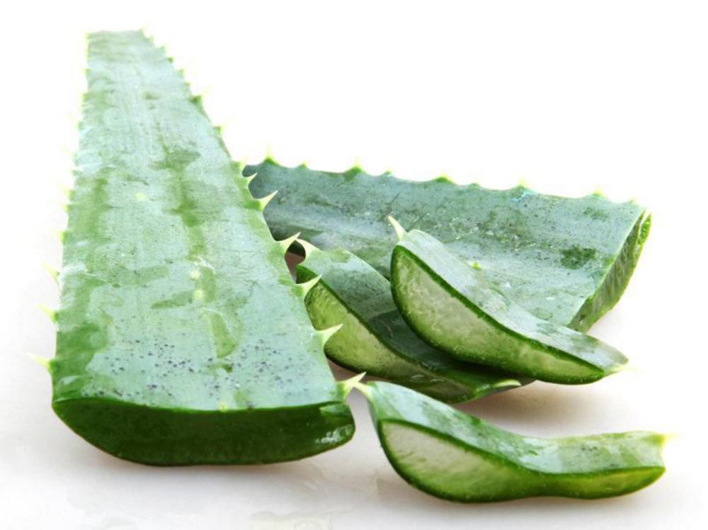 Organic-Aloe-Vera-Natural-Skincare-Real-Foods