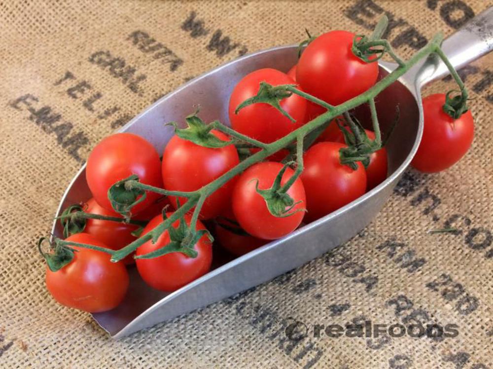 All About Tomatoes