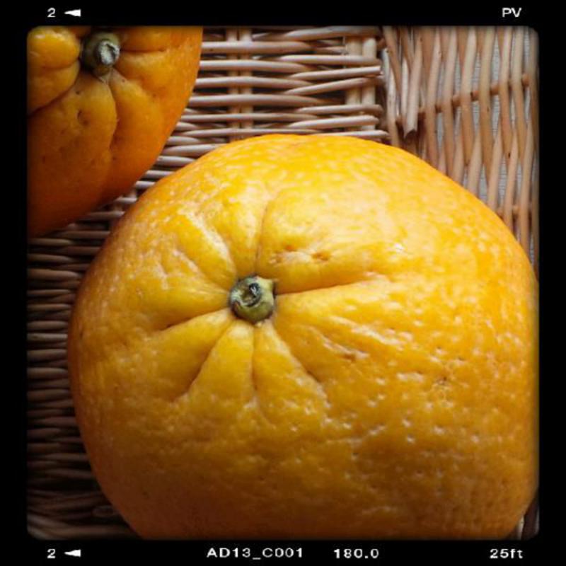 Large-orange-organic-Real-Foods